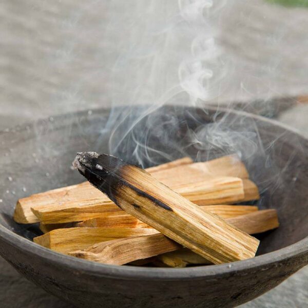 Posvätné drevo Palo Santo, 10-15 ks – Obrázok 2