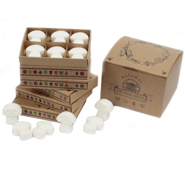 Sada sójových voskov do aromalampy – Škorica & Pomaranč – Obrázok 2