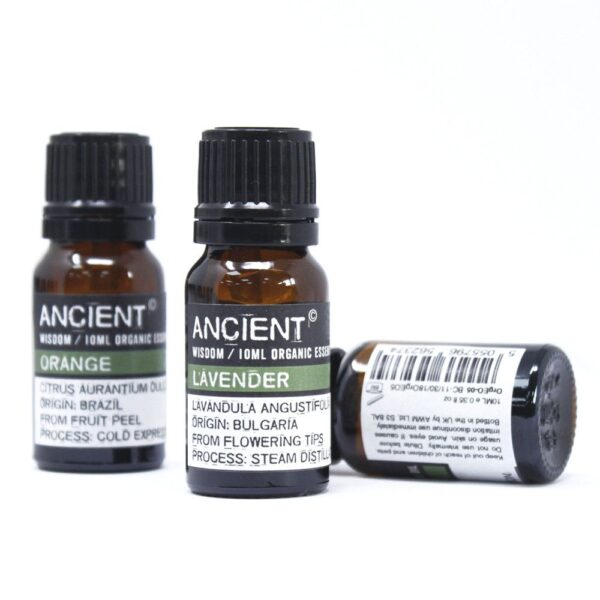 Organický esenciálny olej – Šalvia 10 ml – Obrázok 3