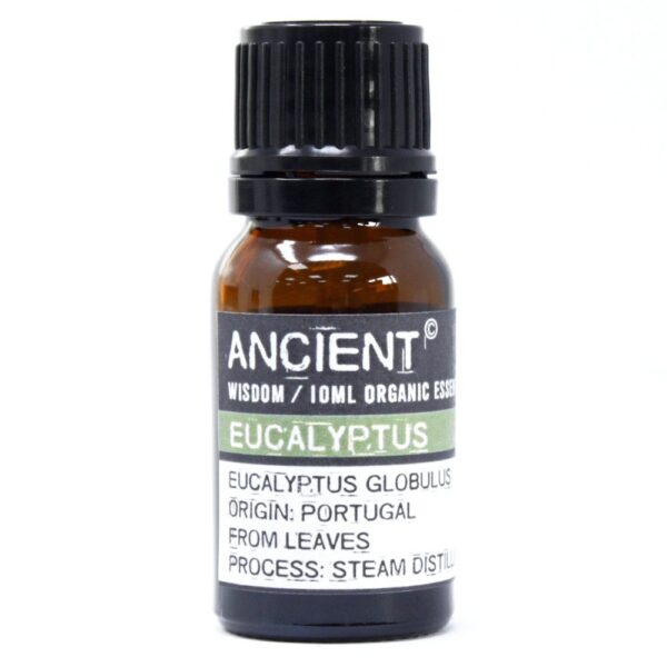 Organický esenciálny olej – Eukalyptus 10 ml