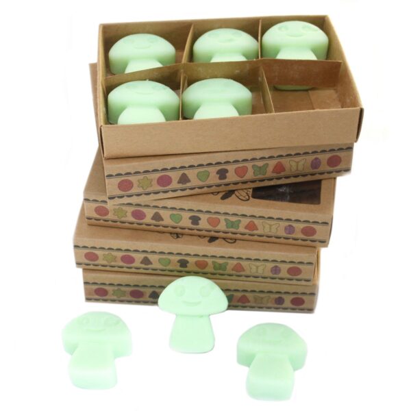 Sada sójových voskov do aromalampy – Sladké drievko – Obrázok 2