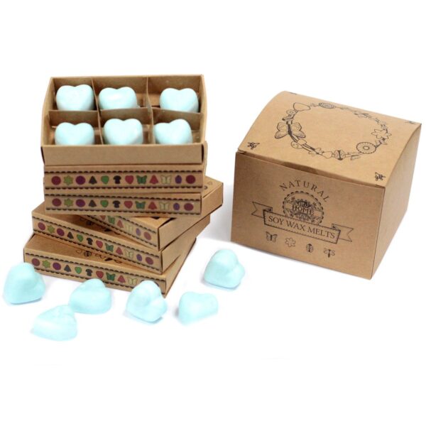 Sada sójových voskov do aromalampy – Nag Champa – Obrázok 2